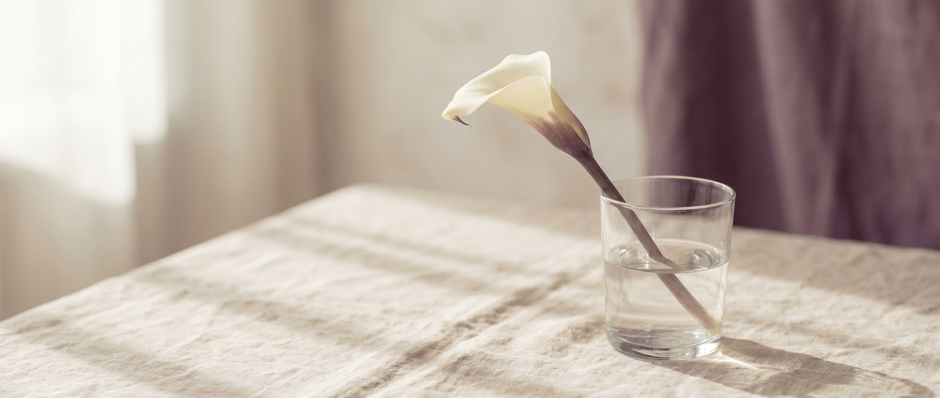 Calla-Lilie in Glas